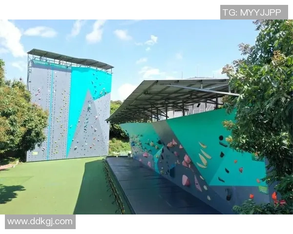 广州攀岩队如何通过控制革新提升竞技水平与团队协作能力的深度探讨