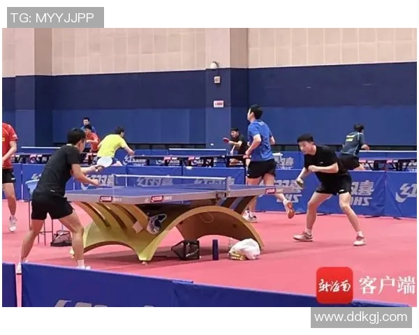 西安羽毛球队比赛经验分享与技术提升的深入探讨