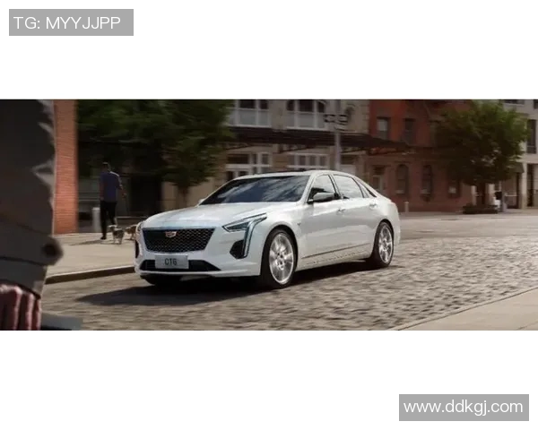 足球明星们最爱的皮球究竟是哪种材质和品牌的呢