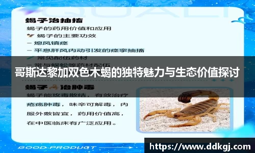 九游体育APP