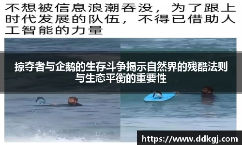 掠夺者与企鹅的生存斗争揭示自然界的残酷法则与生态平衡的重要性