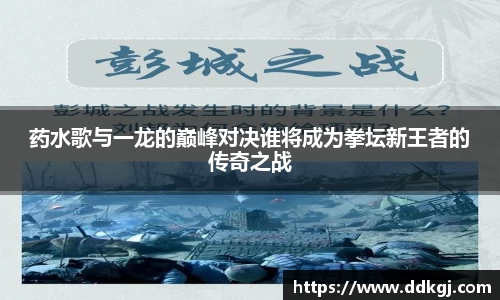 药水歌与一龙的巅峰对决谁将成为拳坛新王者的传奇之战
